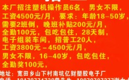 数冲招聘，具体岗位和要求是什么？