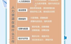 创业型的公司HR应该做什么