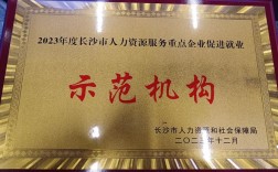 人力资源公司获国家级荣誉有何深意？