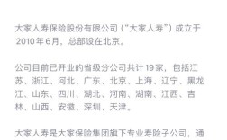 保险公司HR具体负责什么工作？