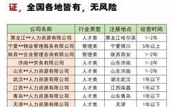人力资源分公司如何有效运营发展？