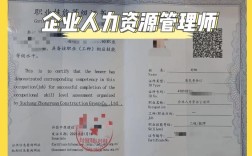 人力资源管理师挂靠公司，风险与收益如何权衡？