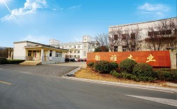 新佐成人力资源公司提供哪些服务？