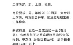 环境检测员招聘，需哪些核心资质与经验？