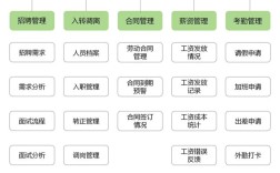 如何优化公司人力资源配置？