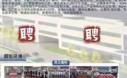 胶州市招聘哪些岗位？