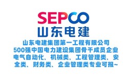 山东电建招聘什么岗位？要求多少？