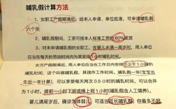 入职新公司还在哺乳期