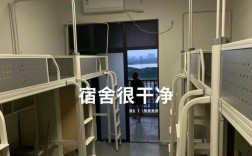 利辛招聘网有哪些岗位在招？