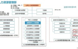 中国咨询公司的人力资源有何独特挑战？