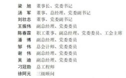 公司大领导的关系户