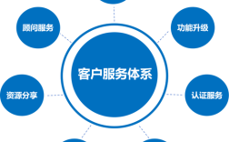 T公司服务外包团队管理策略如何优化？