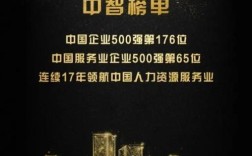 中智人力资源公司有何独特优势？