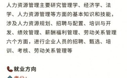 人力资源公司有哪些核心优势？