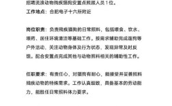 365招聘，每日更新哪些岗位？