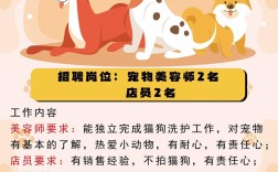 宠物美容师招聘要求有哪些？