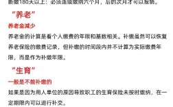 公司HR能查到我社保断交时间吗？