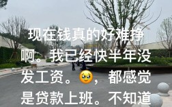 人力资源公司忘发工资，员工该怎么办？