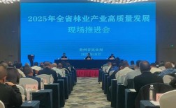 黔西南州林业投资公司如何助力生态与经济双赢？