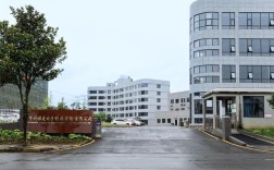 雅虎招聘，是传统巨头的新生还是无奈之举？