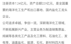 海化集团招聘哪些岗位？