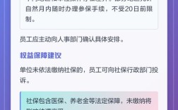 公司社保缴费截止日是15号吗？