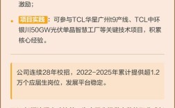 TCL公司招聘有哪些岗位和要求？