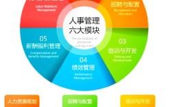 公司人力资源角色如何分工协作？