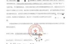 保险公司意见书面资料包含哪些核心内容？