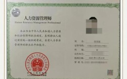 w公司人力资源管理师如何提升效能？