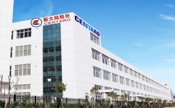 去一个新成立的大公司