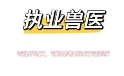 执业兽医师招聘，薪资待遇如何？