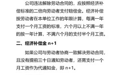 分公司解散人员怎么办