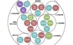 这类公司具体提供哪些人力资源服务？