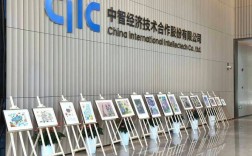 浙江中智经济技有限公司