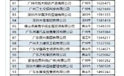 广东前十人力资源公司