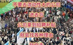 校招为何公司流动量大？