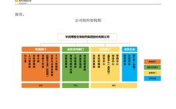 大公司为何频繁调整组织架构？