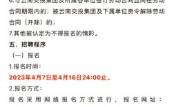 云投集团招聘什么岗位？要求有哪些？