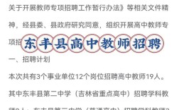 东丰信息网招聘什么岗位？