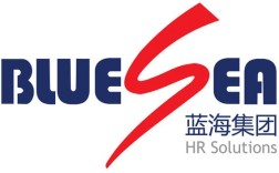 蓝海上海集团有限公司是做什么的？