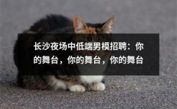 长沙男模招聘要求具体有哪些？