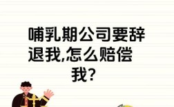 哺乳期公司辞退合法理由有哪些？