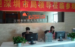 深圳市人才有限公司网站有何服务优势？