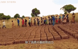 非洲工作招聘，靠谱岗位有哪些？