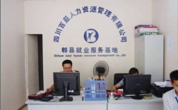 成都外人力资源有限公司是做什么的？