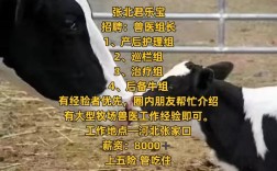 君乐宝招聘什么岗位？要求多少薪资？