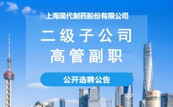 国药控股招聘有何具体岗位与要求？