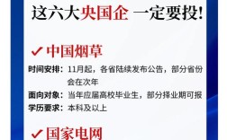 央企社会招聘，有何具体要求？
