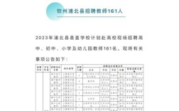 钦州最新招聘有哪些岗位和要求？